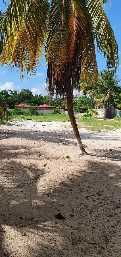 Xcalacoco Beach House Hotel Playa del Carmen 0*,  Mexico
